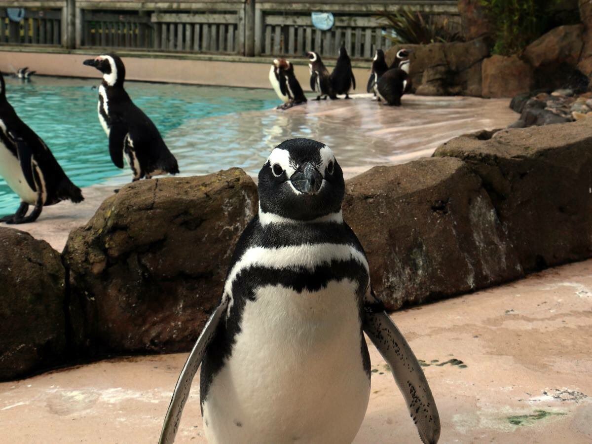 My Trip to Scarborough