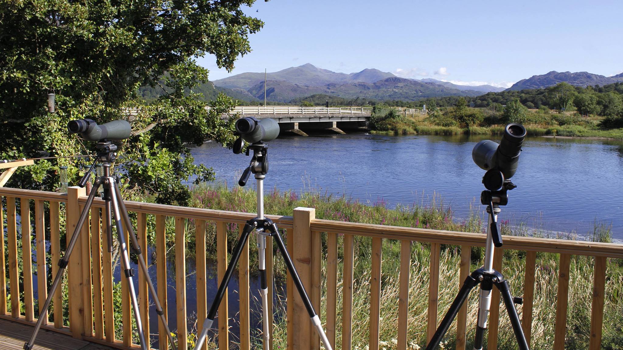 The Glaslyn Ospreys Visitor Centre & Pwhelli 