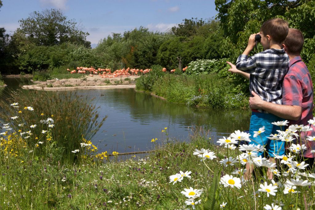 Martin Mere Wetland Centre 