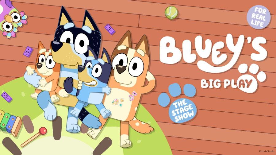 Bluey's Big Play! 