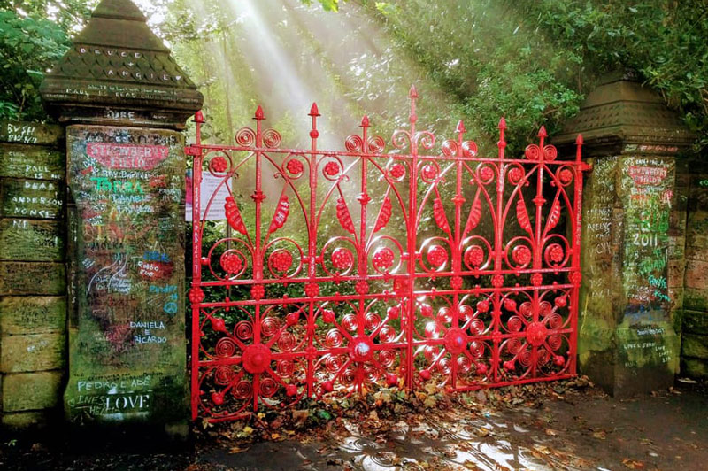 Strawberry Field with a trip to Grosvenor Garden Centre