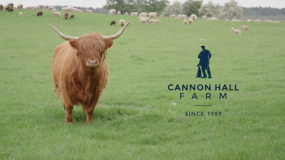 Cannon Hall Farm 
