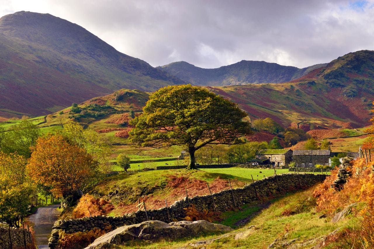 Autumn Tints The Lake District