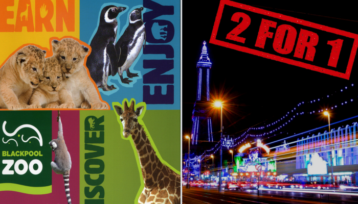 NEW Blackpool Zoo and The Illuminations