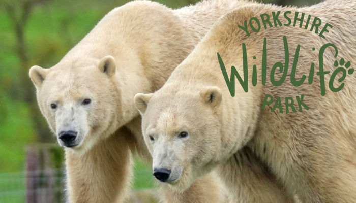 Yorkshire Wildlife Park