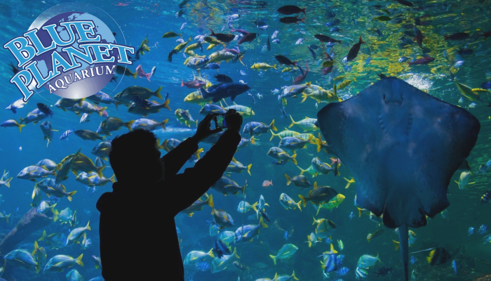 Blue Planet Aquarium and Cheshire Oaks 