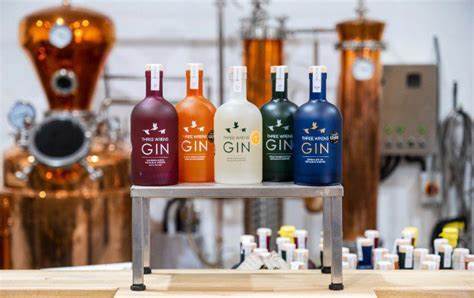 Three Wrens Gin Tasting and Distillery Tour 