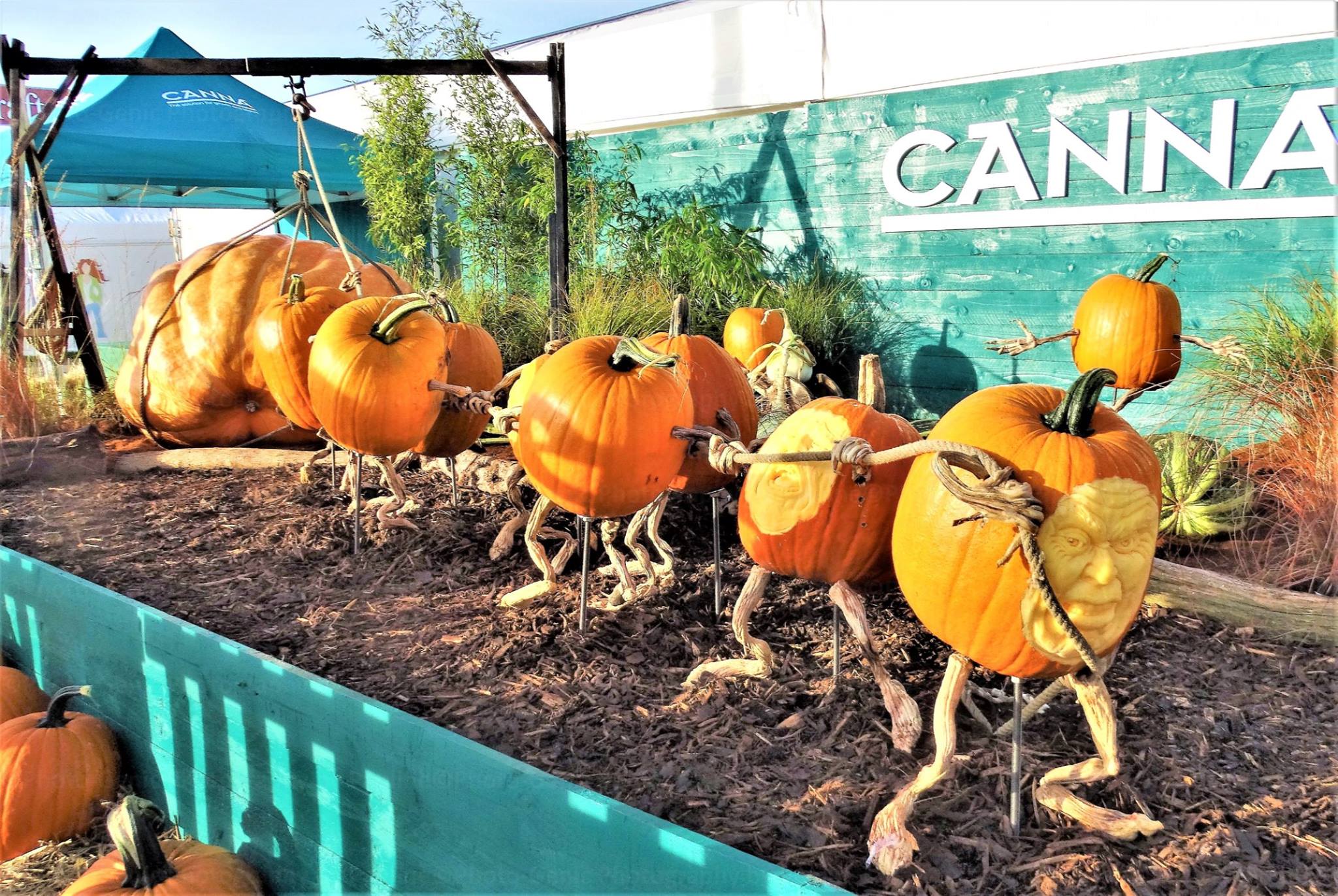 NEW RHS Malvern Autumn Show 2025