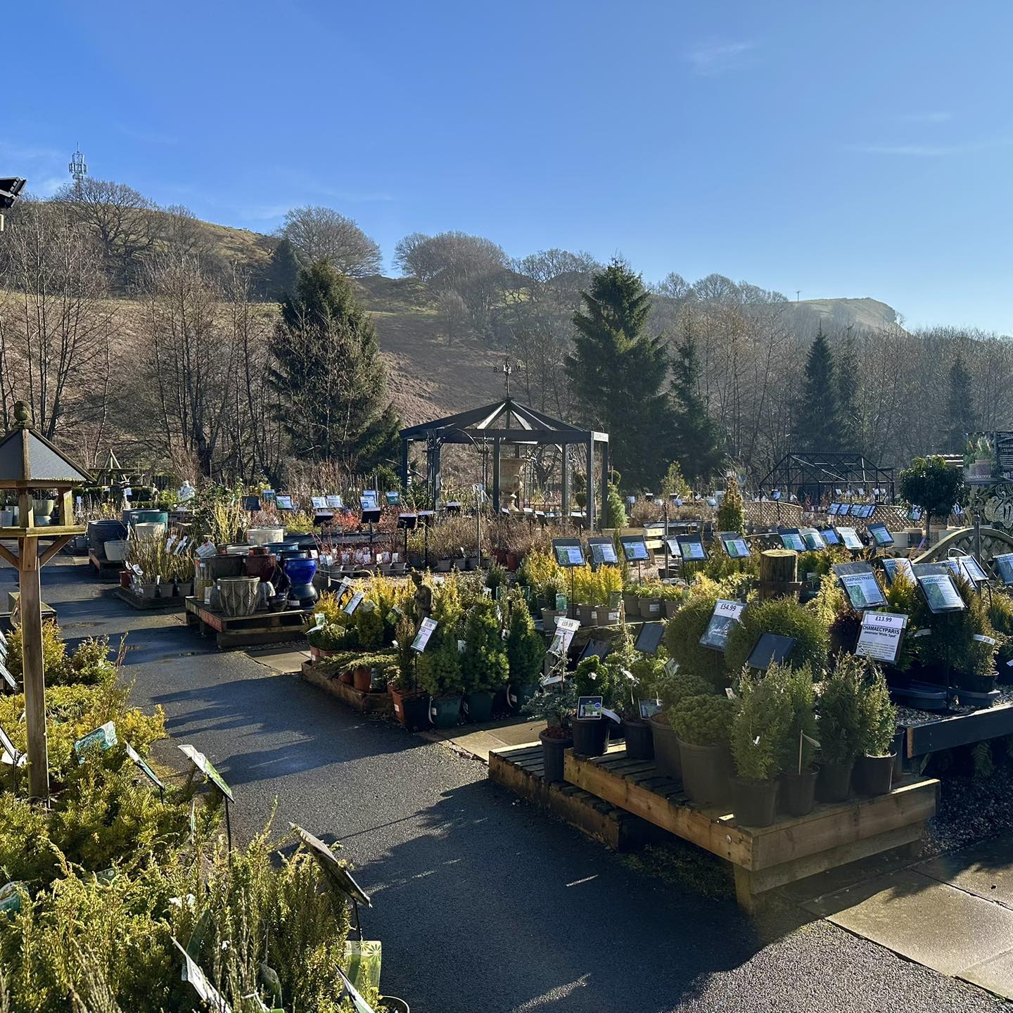 Bolton Market and Gordon Riggs