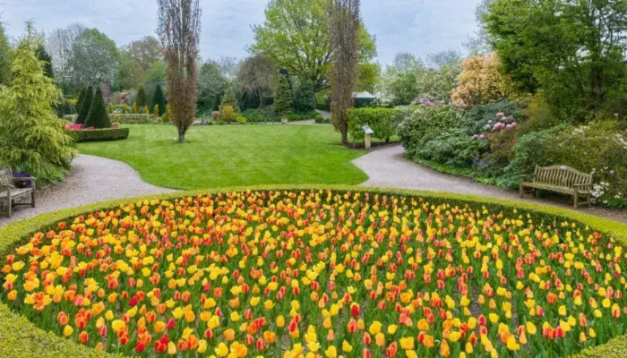 Nantwich and Bridgemere Show Garden