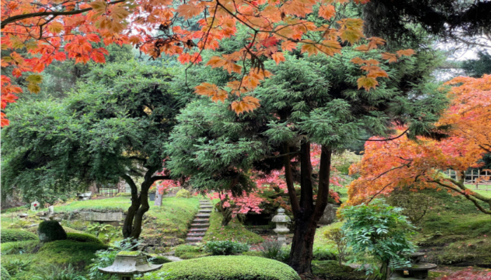 Japan Week at Tatton Park 