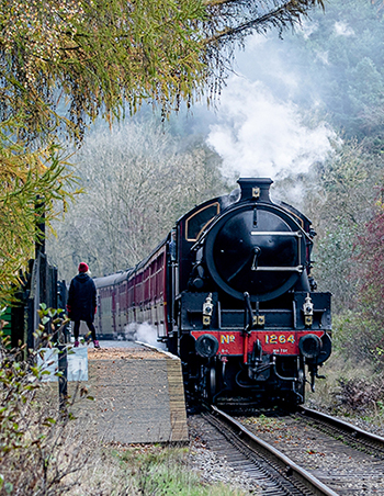 Scarborough Rail and Roses 