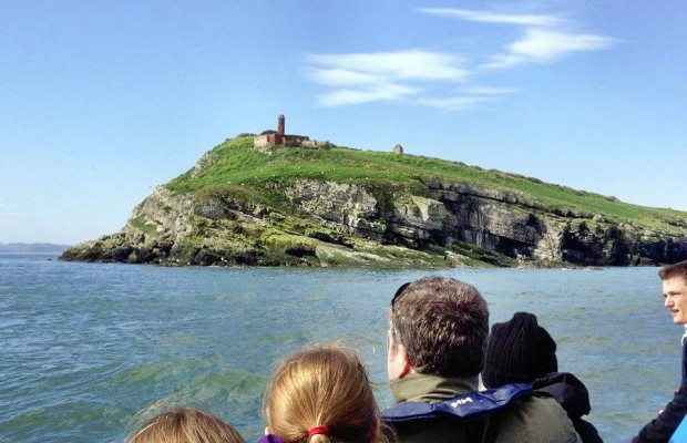 Puffin Island Cruise and Beaumaris