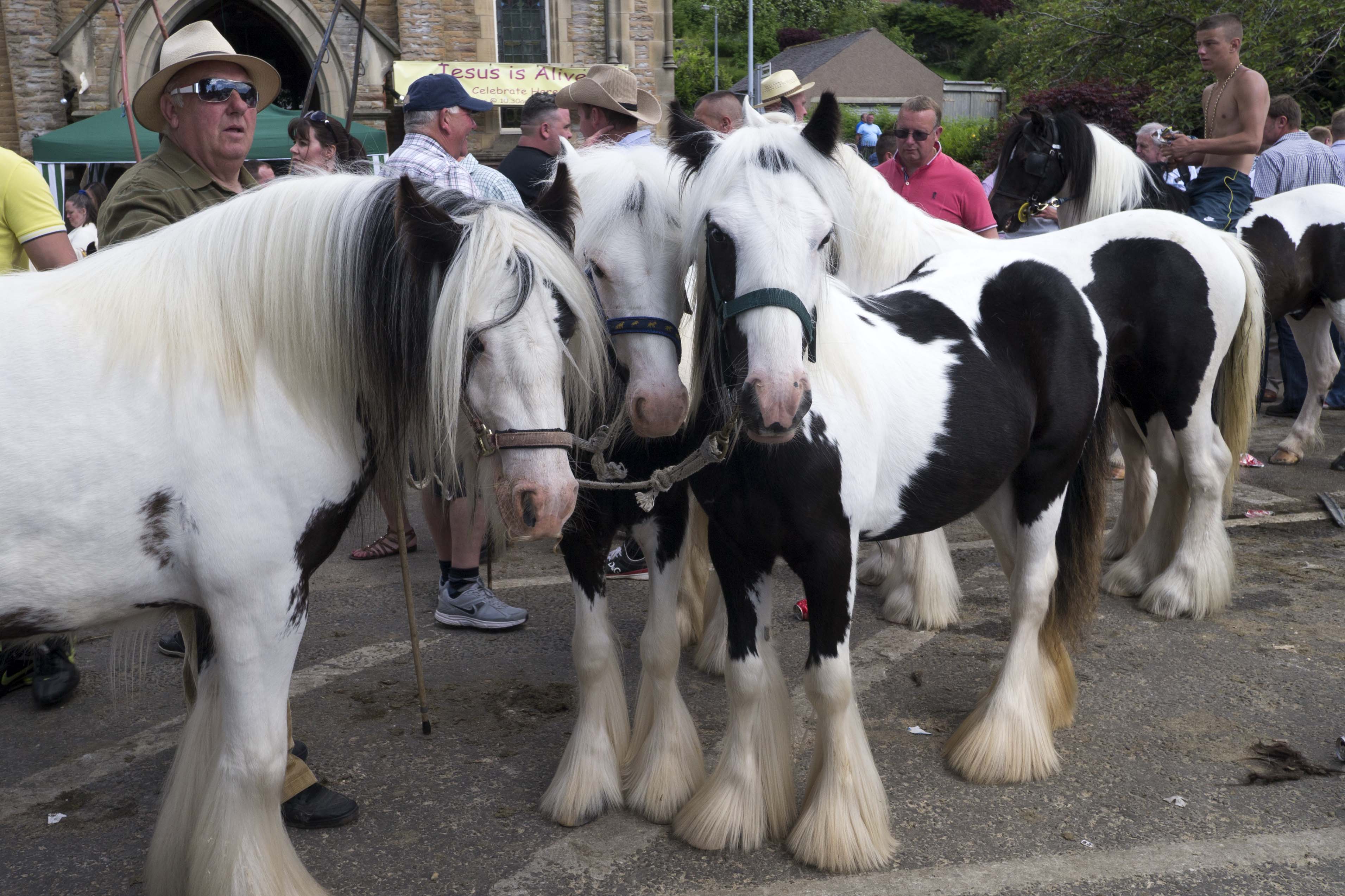 The Appleby Horse Fair