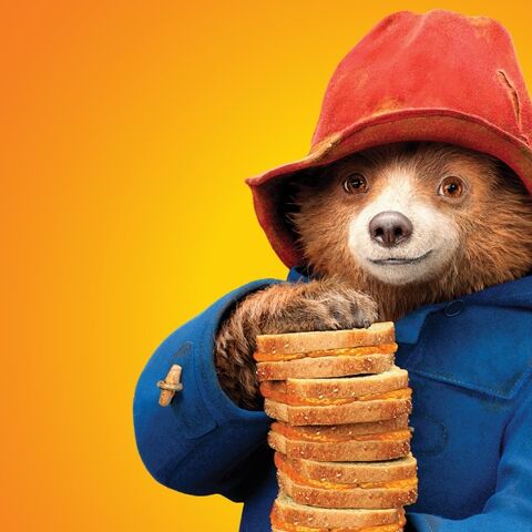 Paddington Bear Experience 