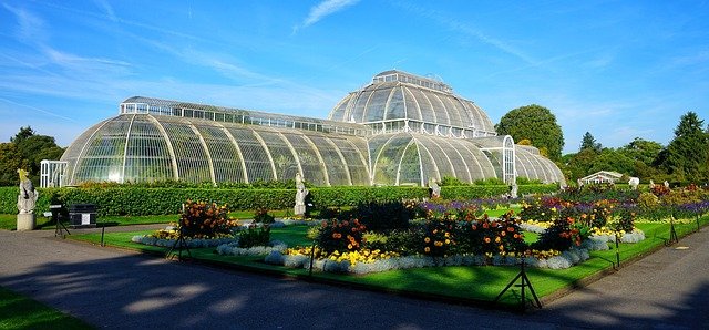 Kew Gardens Japan Festival