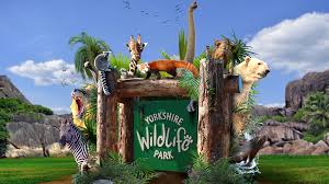 Go wild for the Hex Hotel! 