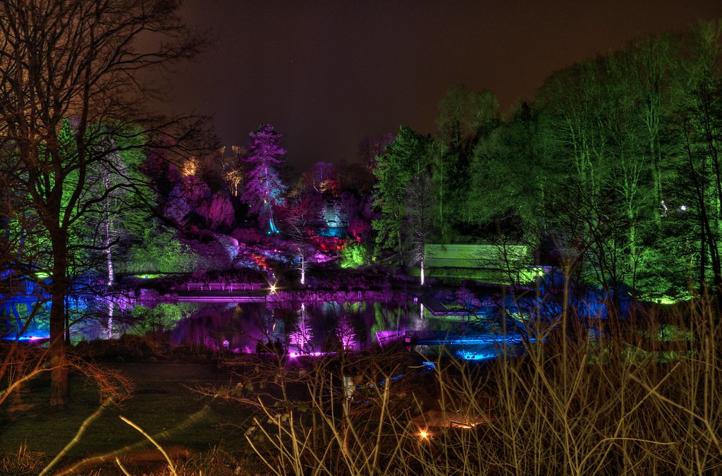 Windsor Great Park Illuminated